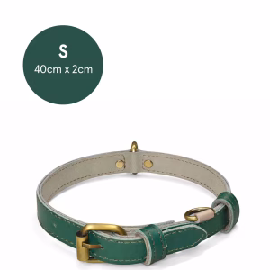 dogcollar_recycledleather_250826 (1) copia