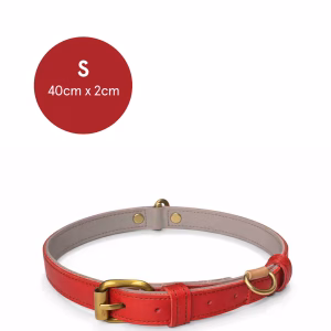dogcollar_recycledleather_250826 (13) copia