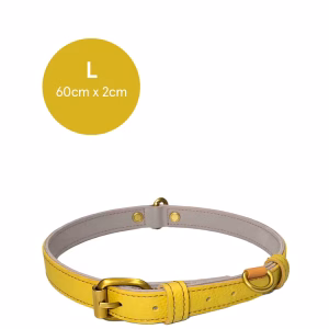 dogcollar_recycledleather_250826 (15) copia