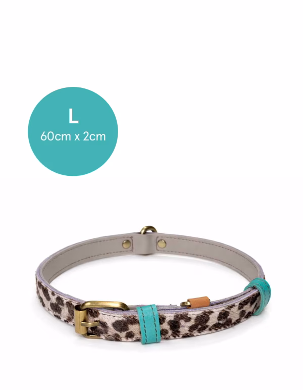 Print Dog Collar