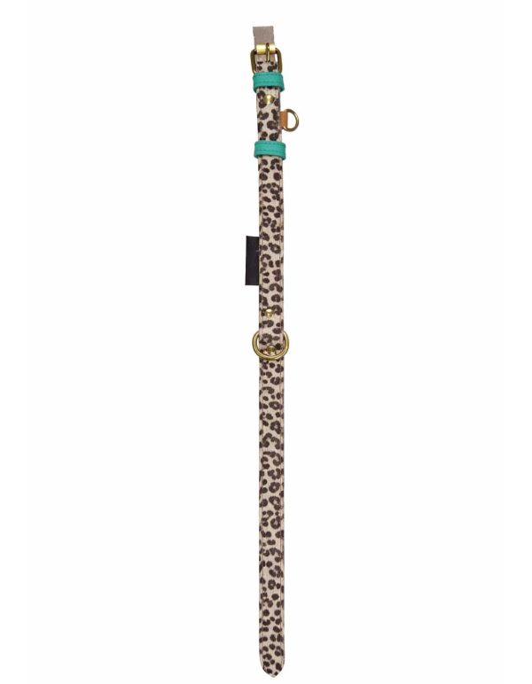 Print Dog Collar