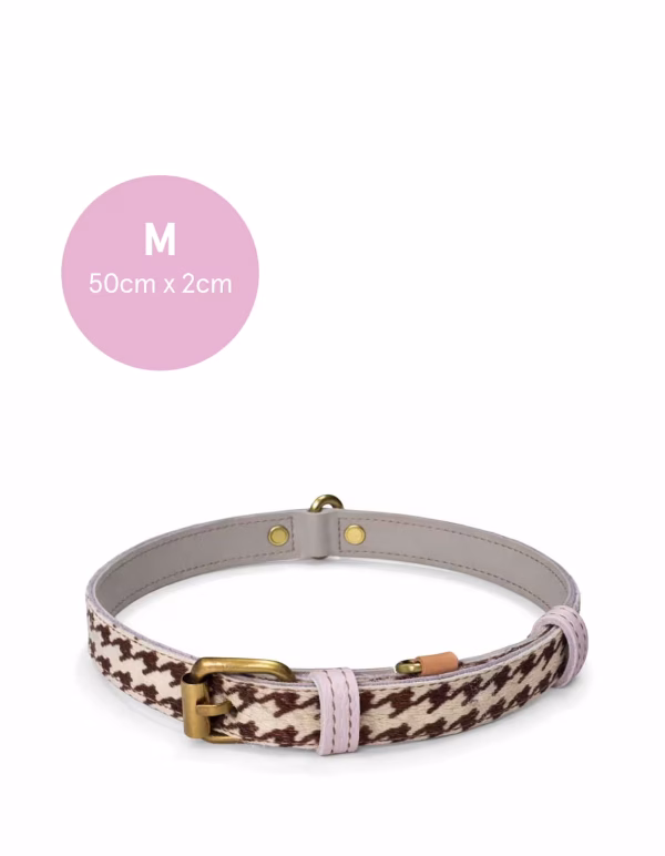 Print Dog Collar