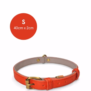 dogcollar_recycledleather_250826 (7) copia