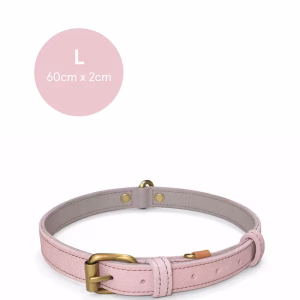 dogcollar_recycledleather_250826 (9) copia