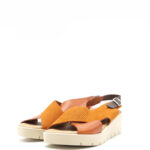 Aphrodite_orange (1)