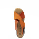 Aphrodite_orange (2)