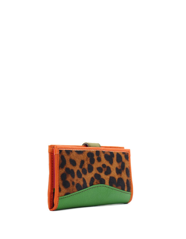 WiseWallet - Imagen 4