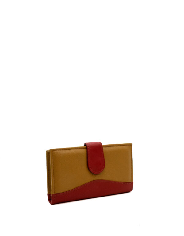 WiseWallet - Imagen 3